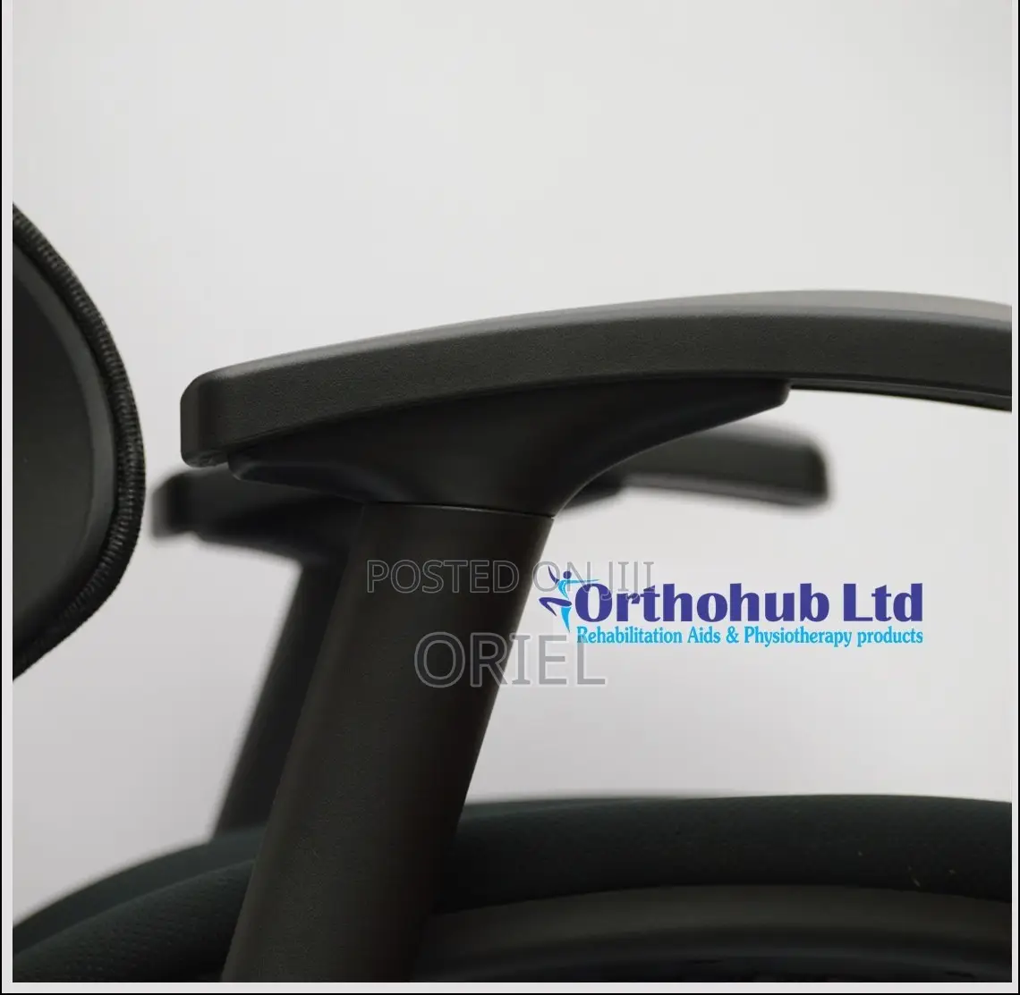 Office Chair : Executive Lumbar Support Office Chair