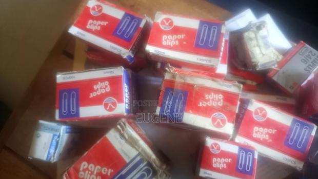 Paper Clips (Bulk)