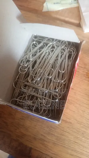 Paper Clips (Bulk)