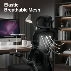 Ergonomic Office Chair