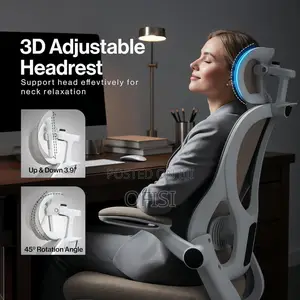 Ergonomic Office Chair