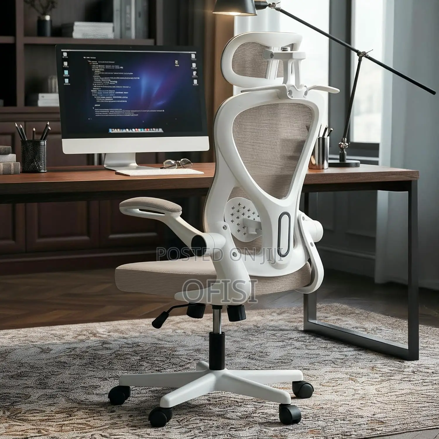 Ergonomic Office Chair