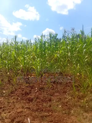 1 Acre Land on Sale Kitale at 4m