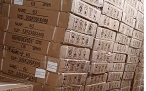 6u Professional Server Storage Cabinet