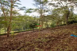 Prime 2-Acre Residential Land for Sale in Ngong – Matasia