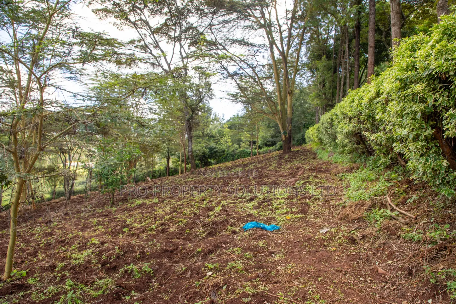 Prime 2-Acre Residential Land for Sale in Ngong – Matasia