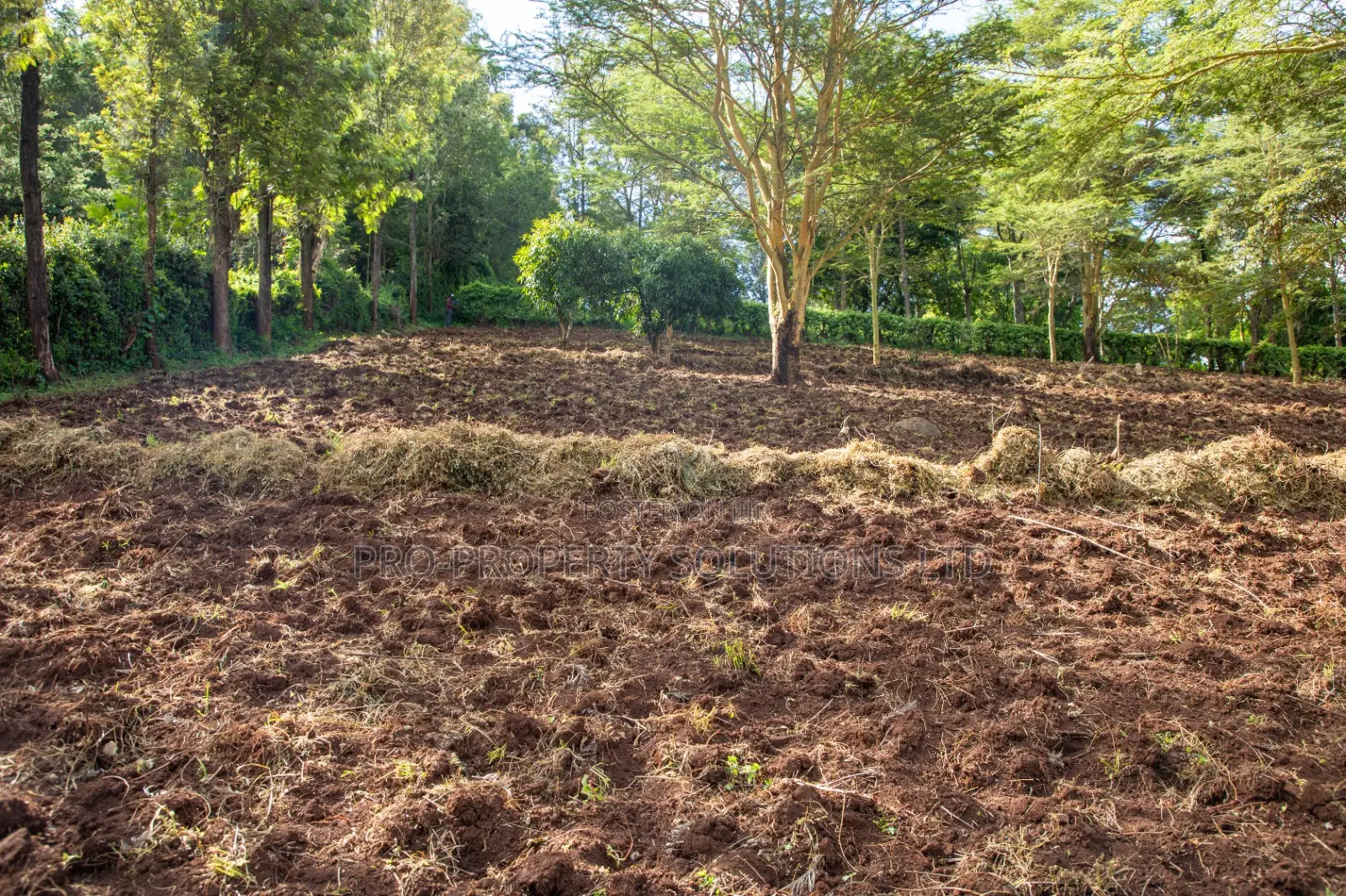 Prime 2-Acre Residential Land for Sale in Ngong – Matasia