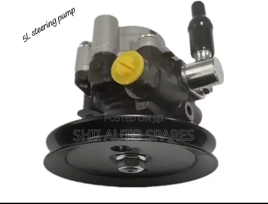 Steering Pump for 5l