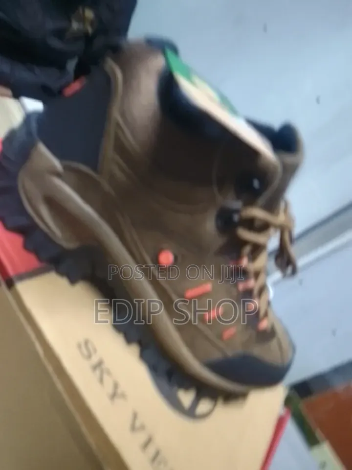  Brown Skyview Hiking Boot 