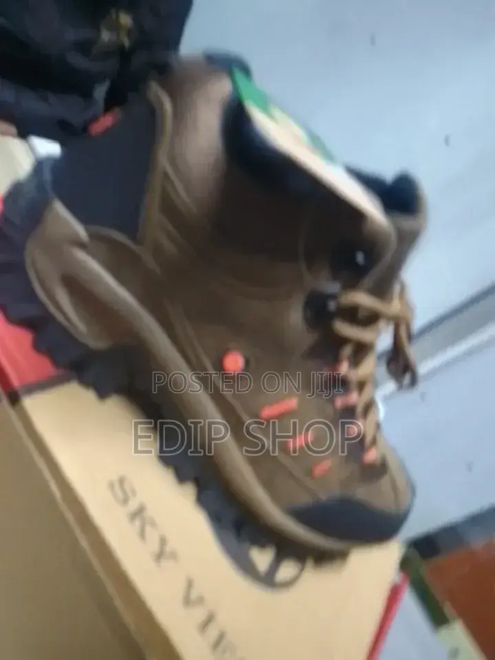  Brown Skyview Hiking Boot 