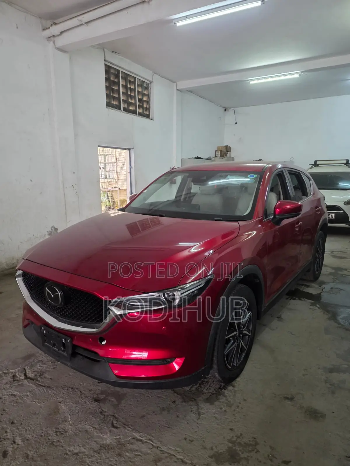 Cx5 Kdy Available for Hire