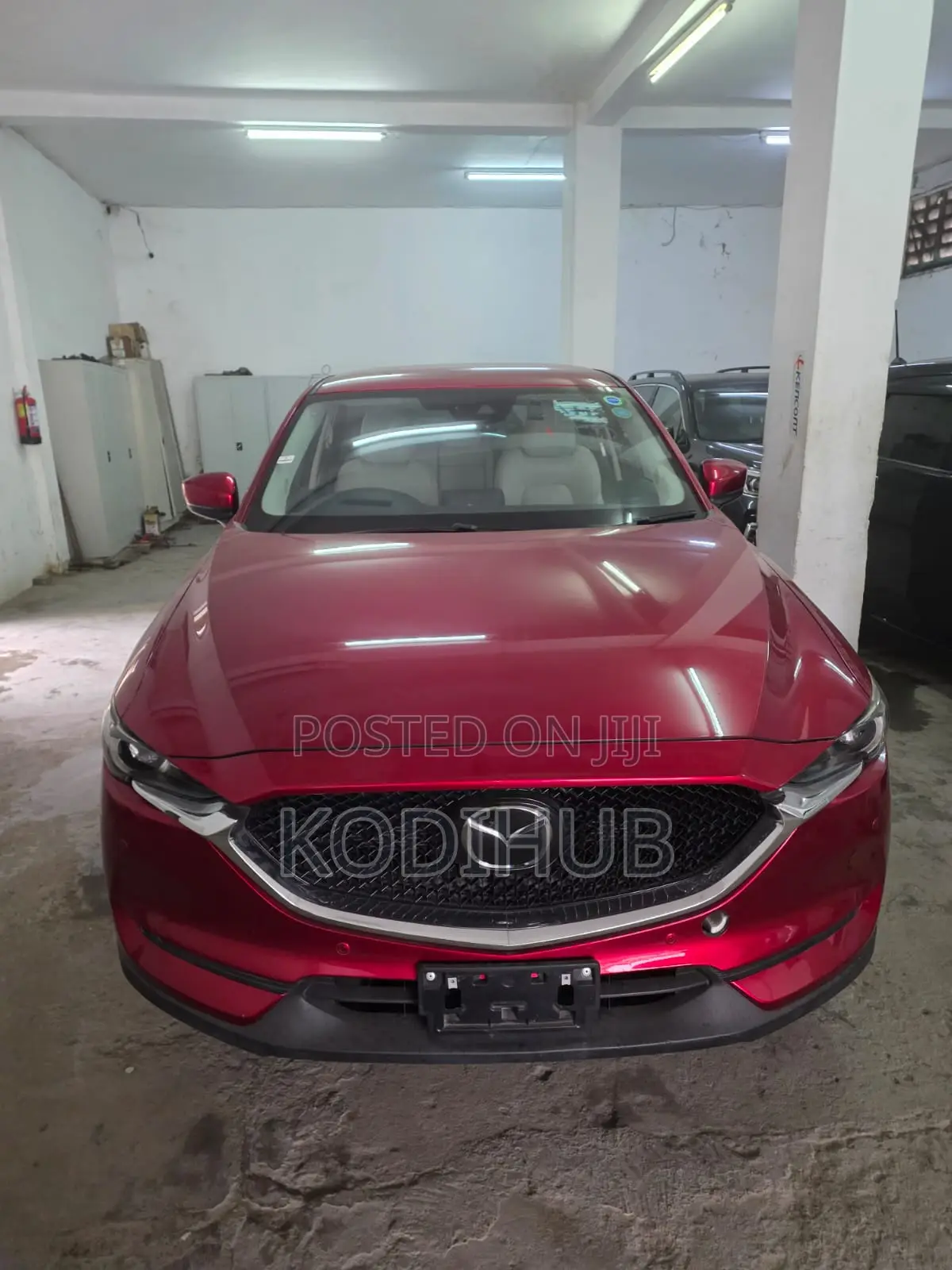 Cx5 Kdy Available for Hire