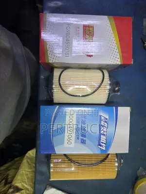 Oil and Fuel Filter Sinotruck Howo H2/H3