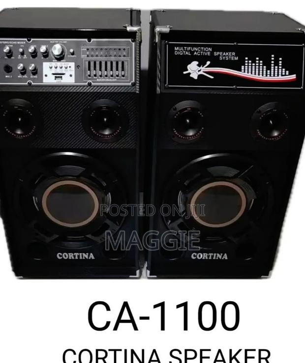 Ca-1100 Speaker 
