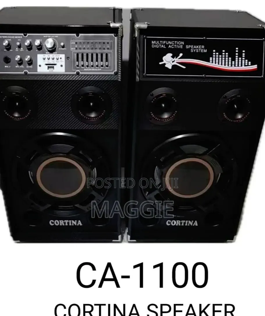 Ca-1100 Speaker 