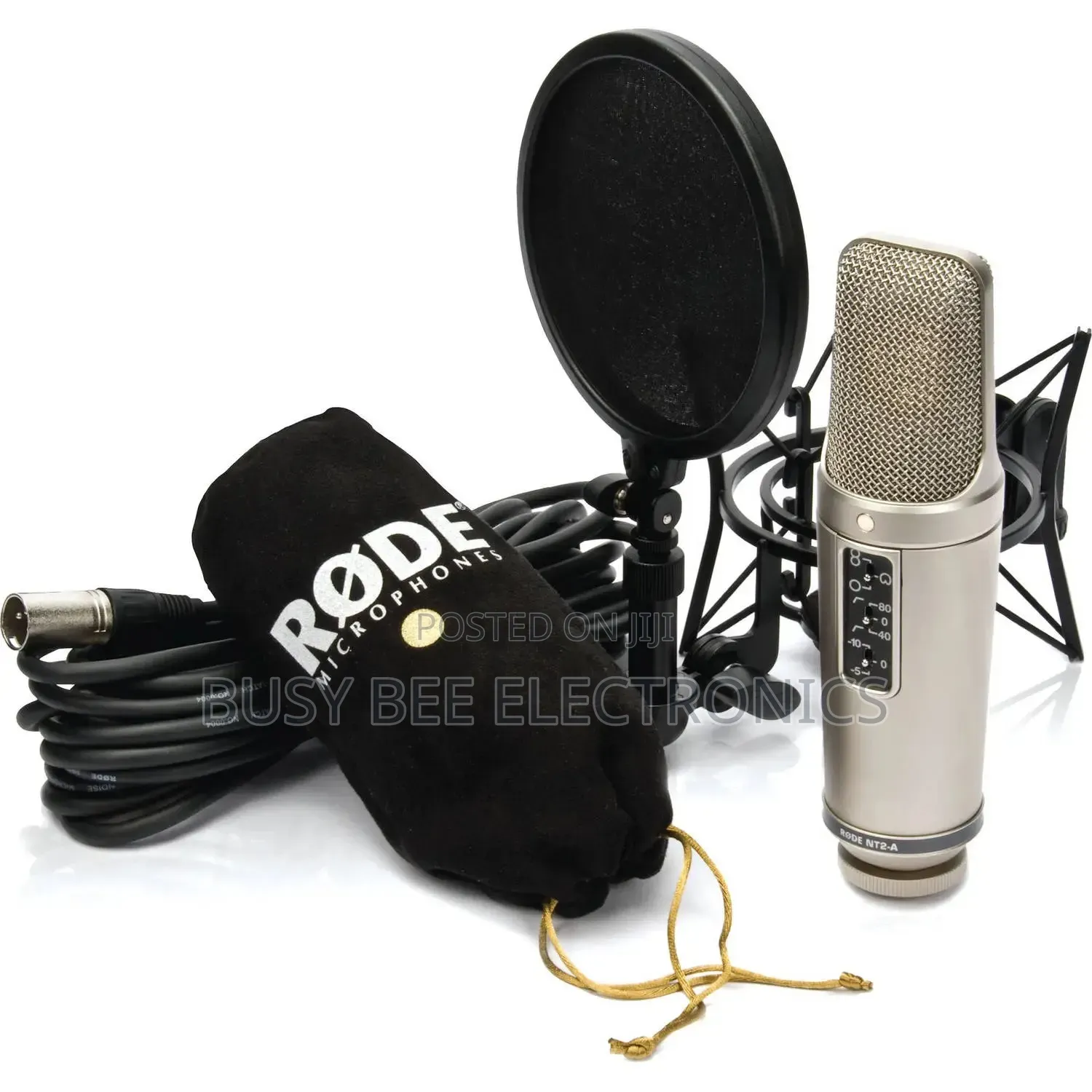 Best Quality Rode Nt2-a Large-Diaphragm Condenser Microphone