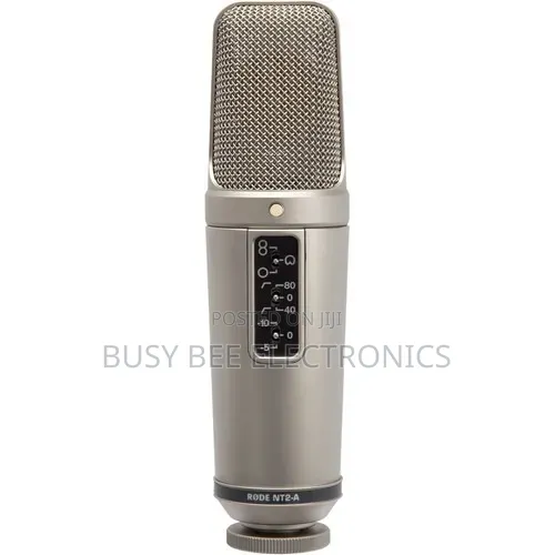 Best Quality Rode Nt2-a Large-Diaphragm Condenser Microphone
