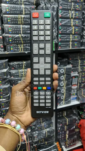 Skyview Remote