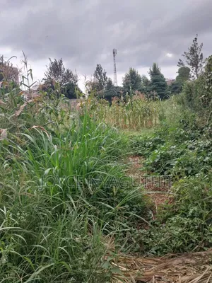 Prime Plot for Sale! 
50x100 | Gwa Kairu Rd Murera