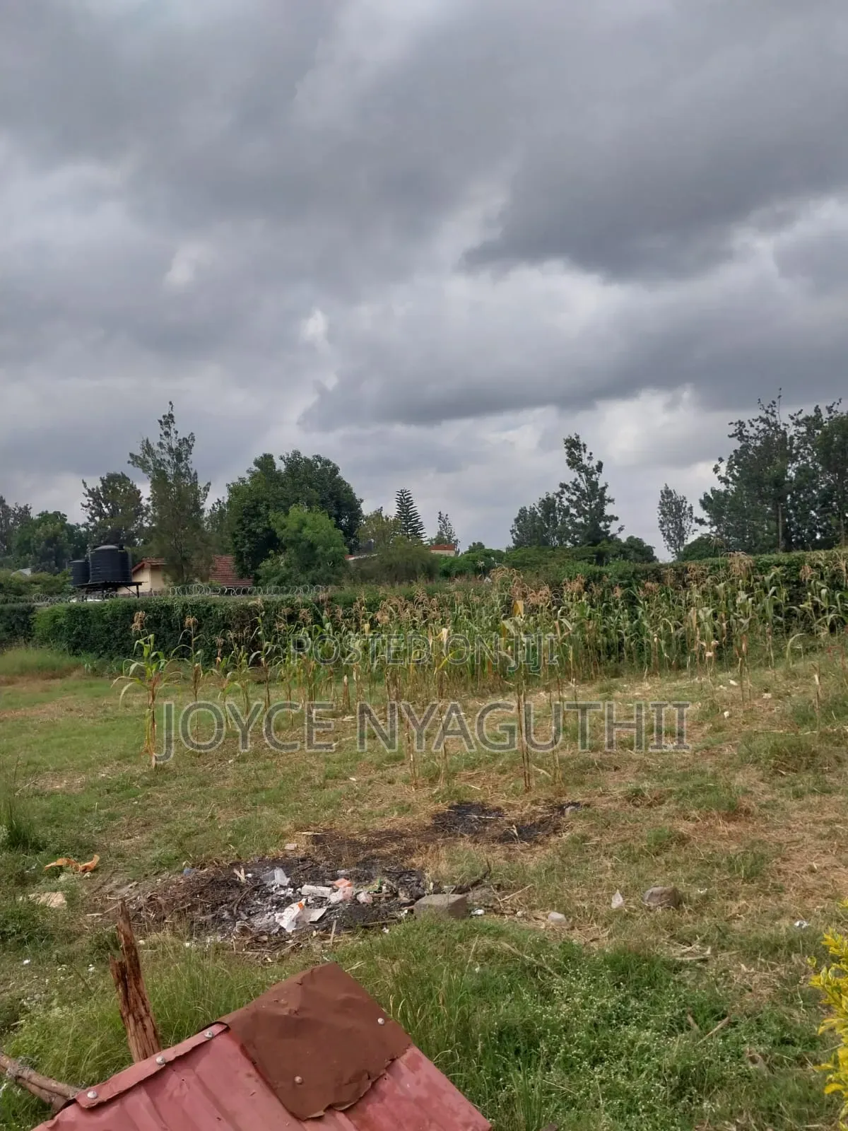 Prime Plot for Sale! 
50x100 | Gwa Kairu Rd Murera