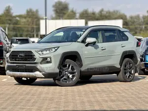 Toyota RAV4 Adventure 2019 Gray