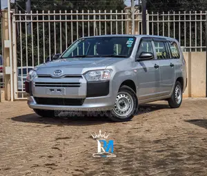 Toyota Probox 1.5 DX 2WD 2020 Silver