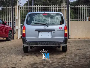 Toyota Probox 1.5 DX 2WD 2020 Silver