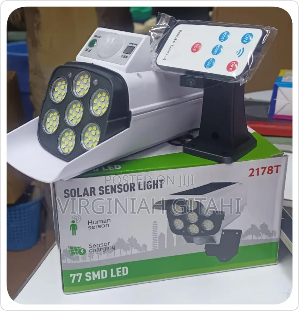 Motion Solar Light Sensor*