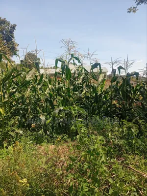 Land for Sale in Kibiko Ngong