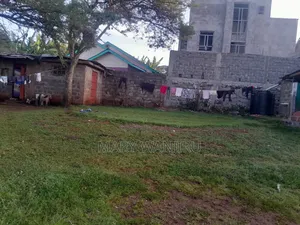 100/100 Plot for Sale