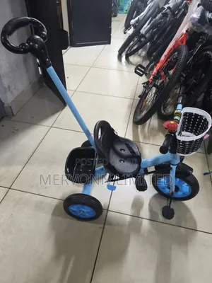 Kids Push Tricycle