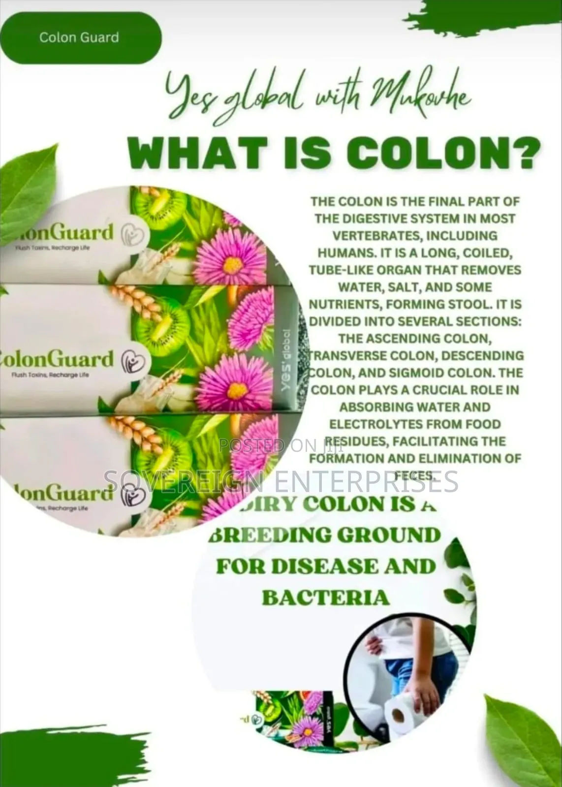 Detox Supplement ( Colonguard),