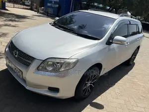 Toyota Corolla Fielder 2009 Silver
