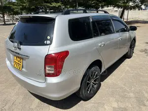 Toyota Corolla Fielder 2009 Silver