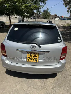 Toyota Corolla Fielder 2009 Silver