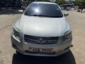 Toyota Corolla Fielder 2009 Silver