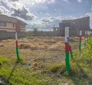 Plots in Kamulu
