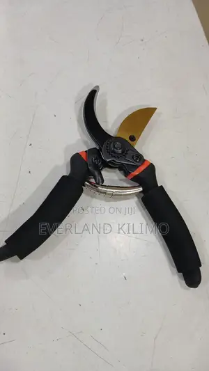 Pruning Shears