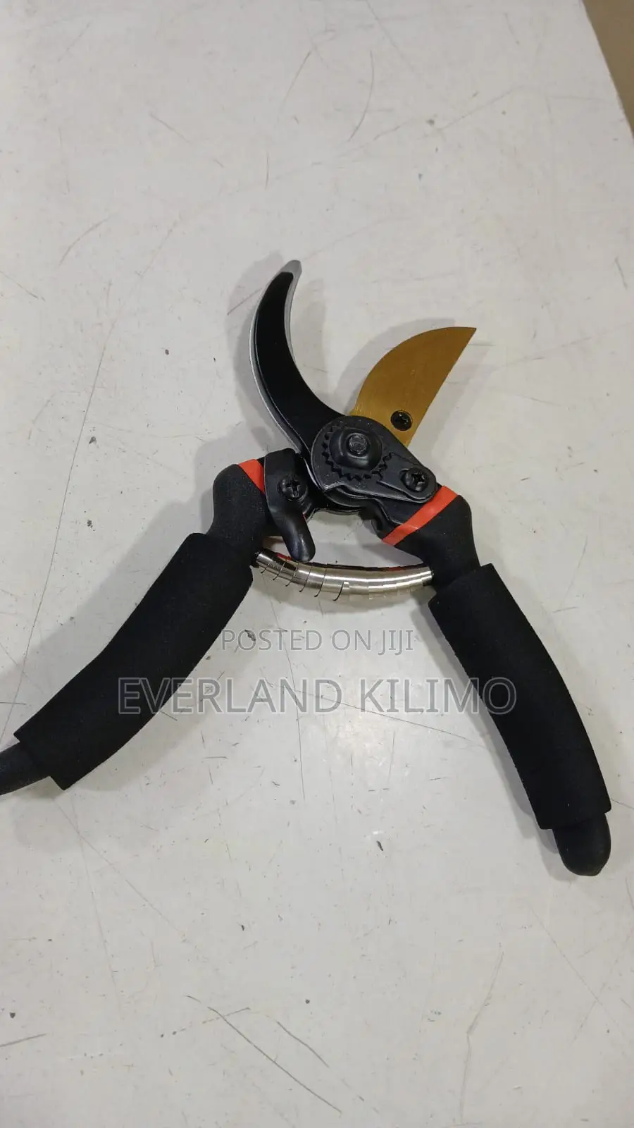 Pruning Shears