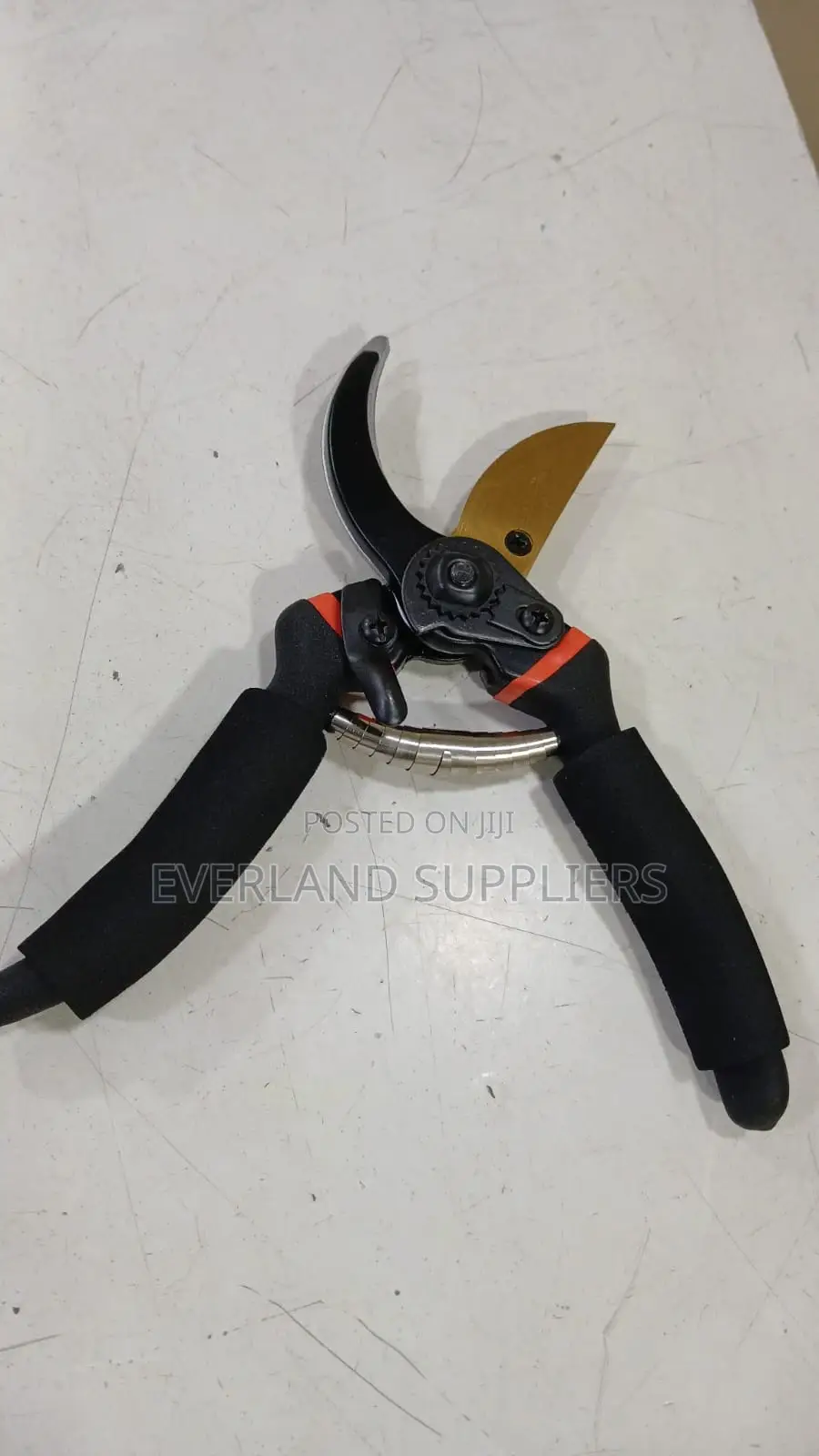 Pruning Shears