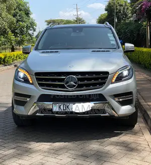 Mercedes-Benz M Class 2015 Silver