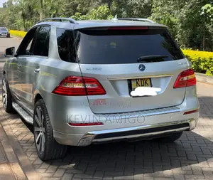 Mercedes-Benz M Class 2015 Silver