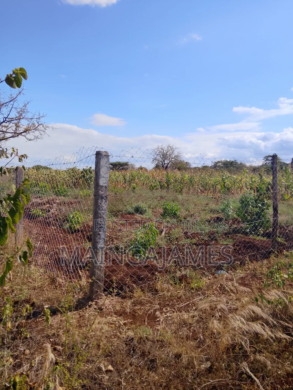Land On Sale In Taveta And Its Environs - Taita Taveta