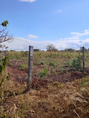Land On Sale In Taveta And Its Environs - Taita Taveta