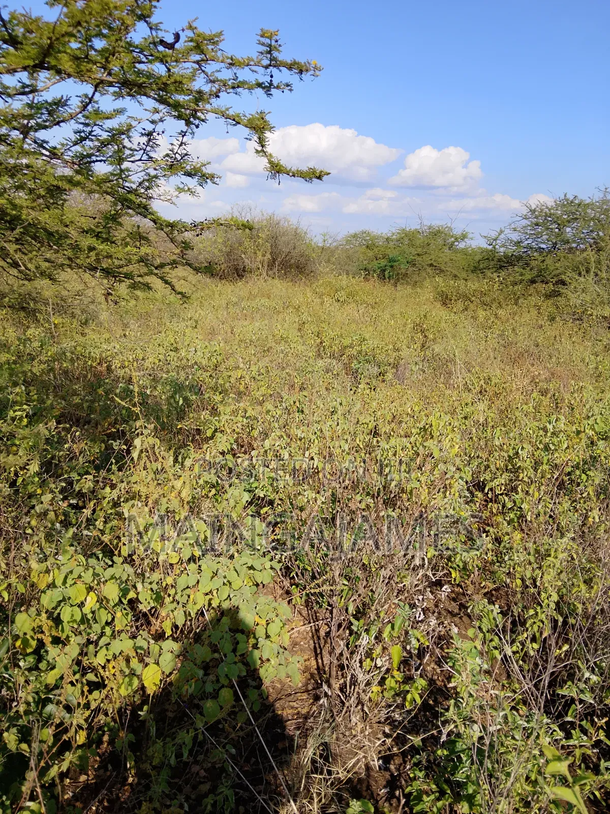 Land On Sale In Taveta And Its Environs - Taita Taveta