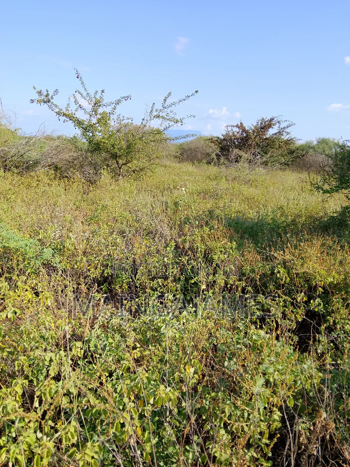 Land On Sale In Taveta And Its Environs - Taita Taveta