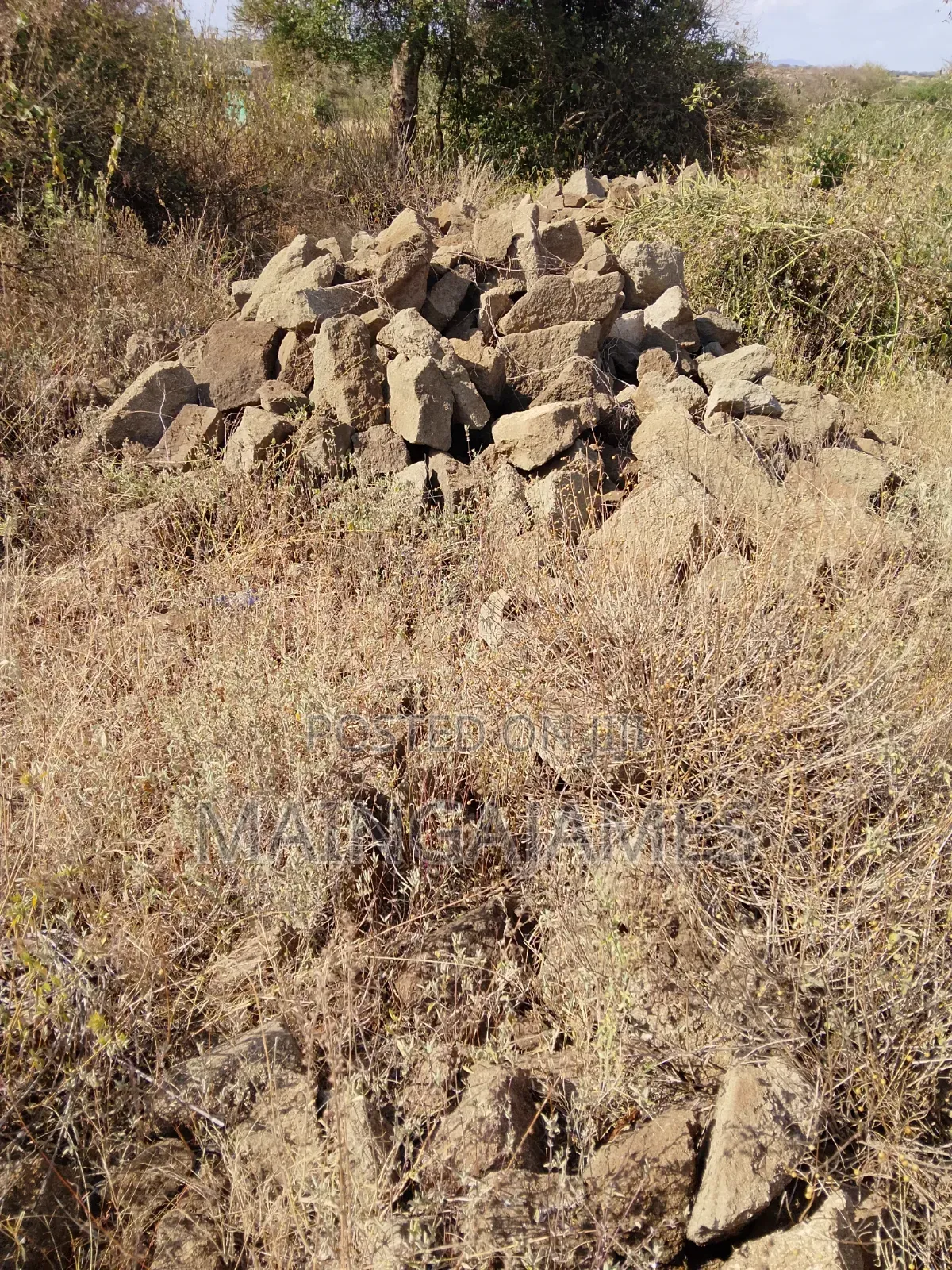 Land On Sale In Taveta And Its Environs - Taita Taveta