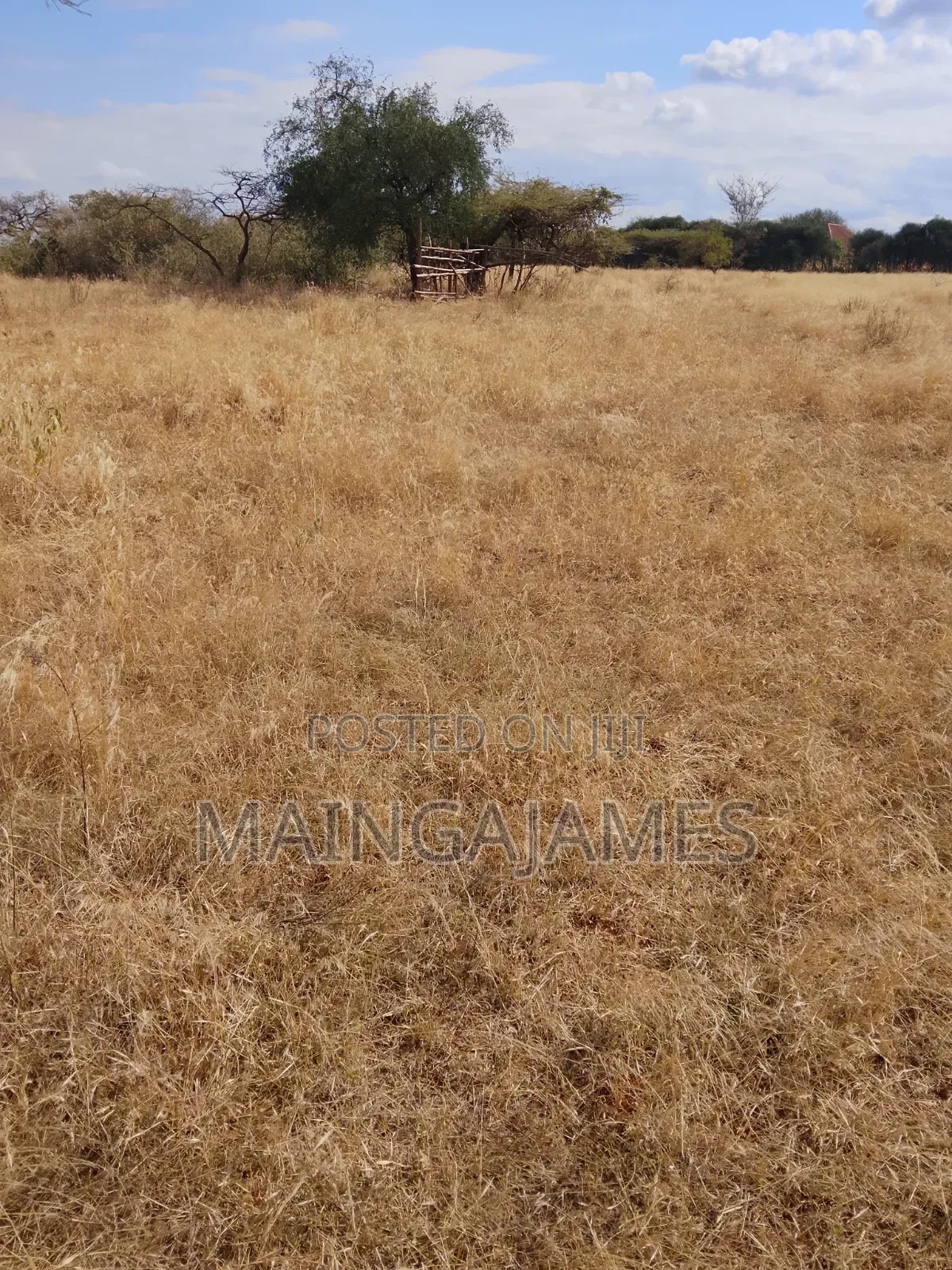 Land On Sale In Taveta And Its Environs - Taita Taveta