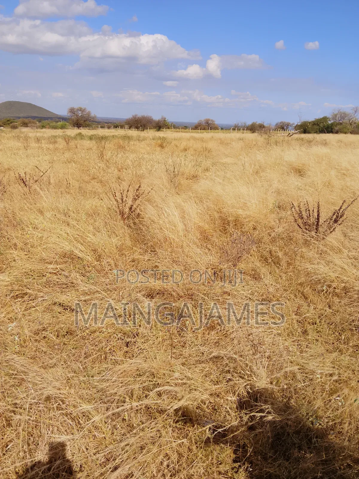 Land On Sale In Taveta And Its Environs - Taita Taveta