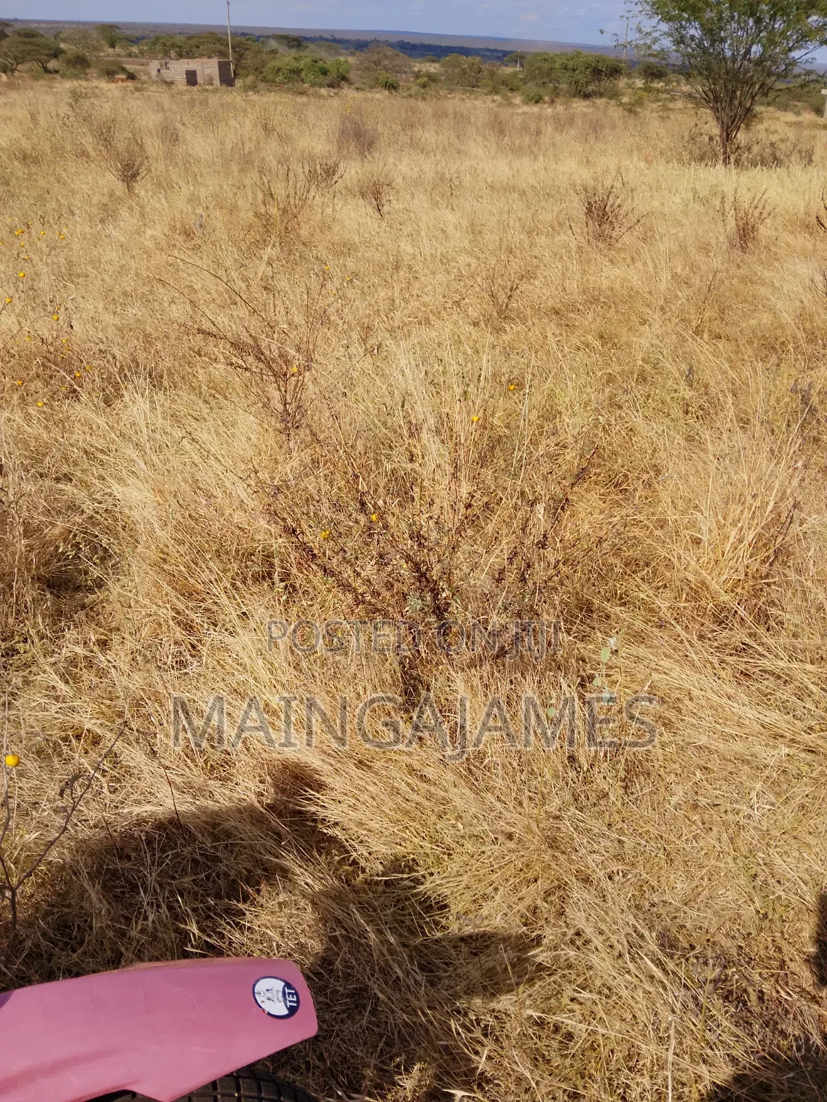 Land On Sale In Taveta And Its Environs - Taita Taveta